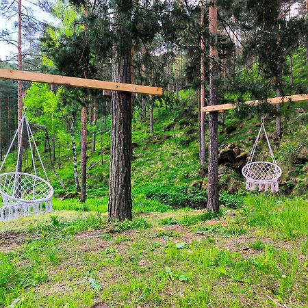 Vila Pogled Wellness I Spa Divčibare Dış mekan fotoğraf