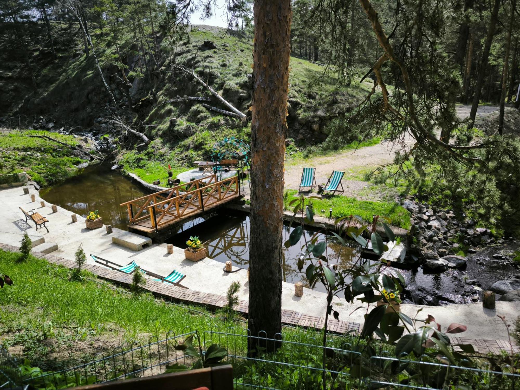 Vila Pogled Wellness I Spa Divčibare Dış mekan fotoğraf